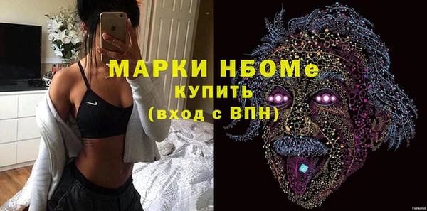 индика Вяземский